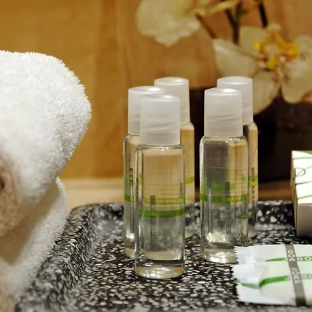 苏尔巴然斯考特大酒店 4*